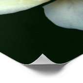 Poster Pâle Rose Jaune Pâle Pâtes Avec Poisson (Coin)