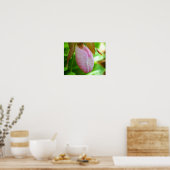 Poster Pale Rose Lady Slipper Orchidée Fleur gros (Cuisine)