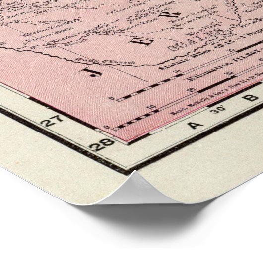 Poster Palestine 3 (Coin)