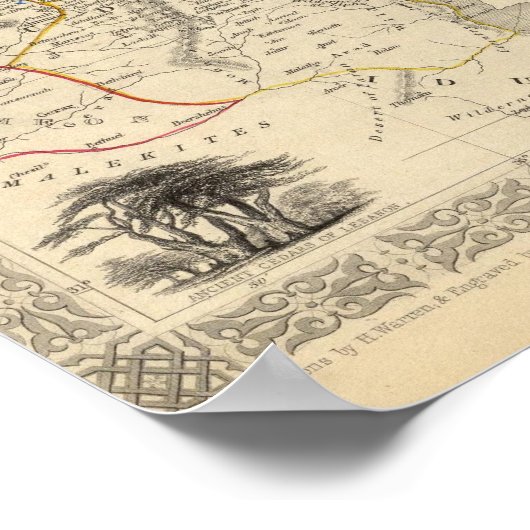 Poster Palestine antique (Coin)