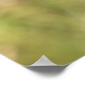 Poster Palestine Sunbird, faune nationale des oiseaux (Coin)