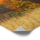 POSTER "PALETTE D'AUTOMNE/CAMPAGNE MICHIGAN" (Coin)