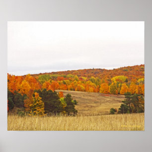 POSTER "PALETTE D'AUTOMNE/CAMPAGNE MICHIGAN"
