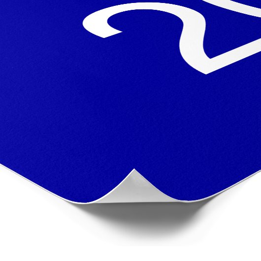 POSTER PALIN, 2012 (Coin)