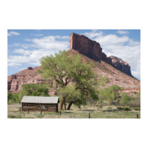 Palisade et Pioneer Cabine