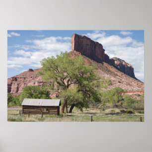 Poster Palisade et Pioneer Cabine