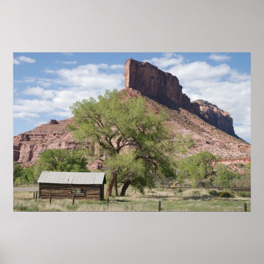 Poster Palisade et Pioneer Cabine (Devant)