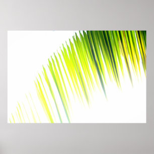 Poster Palm Abstrait (affiche)