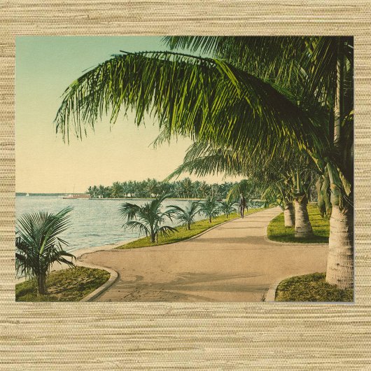 Poster Palm Beach 1898 Scène Floride vintage