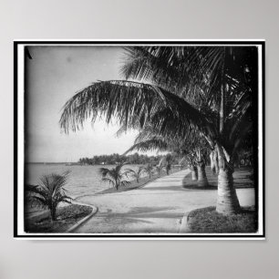Poster Palm Beach, Floride c1894 Vintage