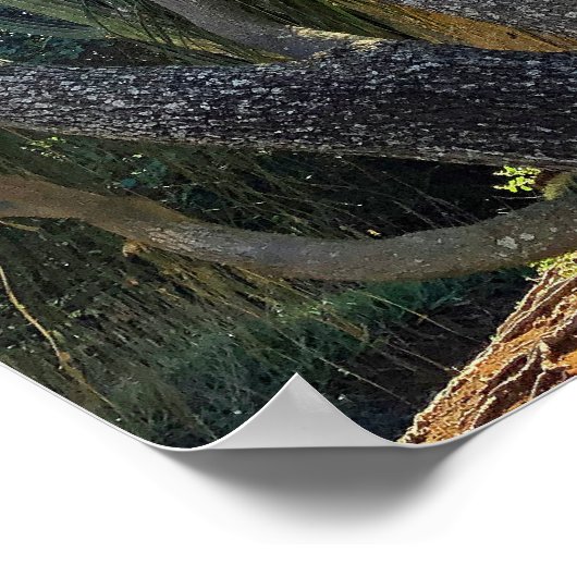 Poster Palm de Ponytail (Coin)