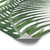 Poster Palm Feuilles Carpe Diem (Coin)