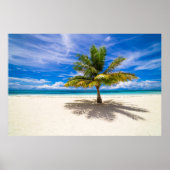 Poster Palm sur la plage de sable blanc (Devant)