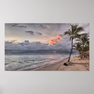 Poster Palm Tree Beach L'île tropicale