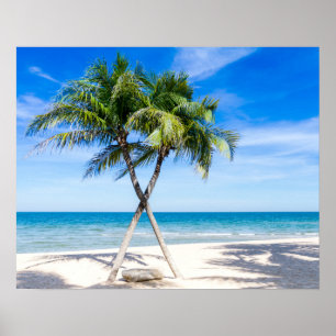 Poster Palm tree beach tropical summer photo