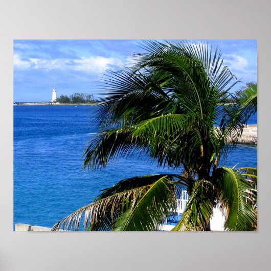 Poster Palm Tree & Lighthouse (Devant)