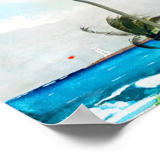 Poster Palm Tree Nassau par Winslow Homer (Coin)