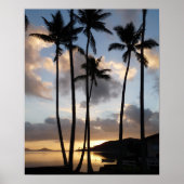 Poster Palm Tree Silhouettes in Hawaii (Devant)