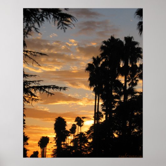 Poster Palm Tree Sunset Los Angeles (Devant)