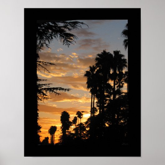 Poster Palm Tree Sunset Los Angeles 11x14 (Devant)