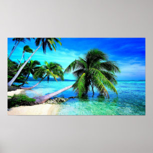 Poster Palm Tree Tropical Island Beach
