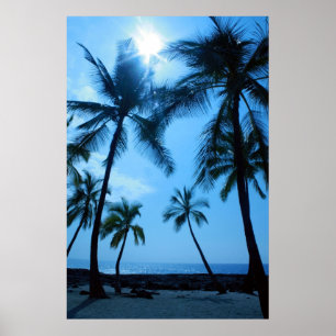 Poster Palm Trees and Blue Skies