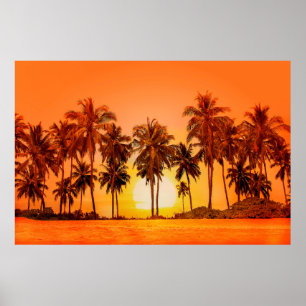 Poster Palm trees at sunset background. Sri Lanka.