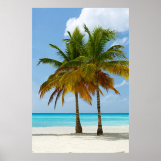 Poster Palm Trees Plage Mer Bleue Ciel Jour ensoleillé