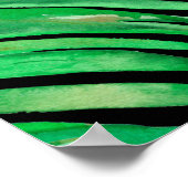 Poster Palm vert feuille motif (Coin)
