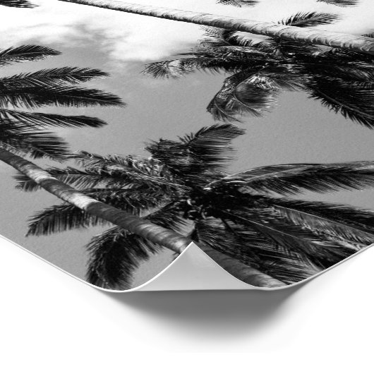 Poster palmbomen (Hoek)