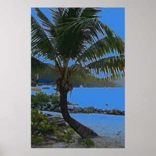 poster palmboom