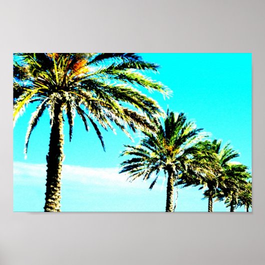 Poster palme calme (Devant)