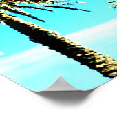 Poster palme calme (Coin)