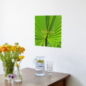 Poster - Palme Rayant Frond (Couchage (Cuisine))