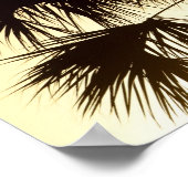 Poster Palmetto, lever du soleil, Floride (Coin)