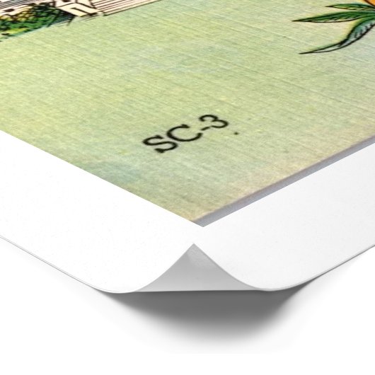 Poster Palmetto Palm de Caroline du Sud 16x24 Imprimer (Coin)