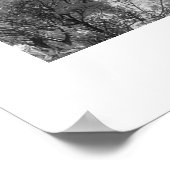 Poster Palmier (Coin)