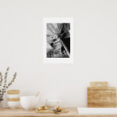 Poster Palmier (Cuisine)