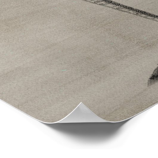 Poster Palmier (Coin)