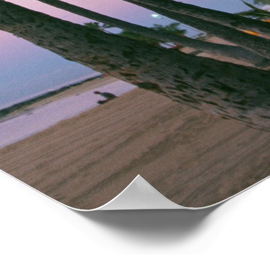 Poster Palmier 2 (Coin)