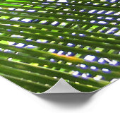 Poster Palmier à coco (Coin)