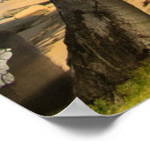 Poster Palmier à coco vert près du terrain d'herbe verte  (Coin)