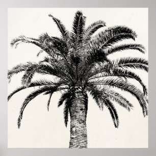 Poster Palmier de l'île tropicale rétro en noir et blanc
