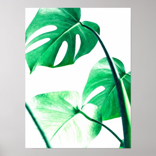 Poster Palmier de Monstera feuille tropical moderne aquar (Devant)