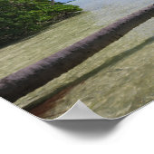 Poster Palmier de Rangiroa (Coin)