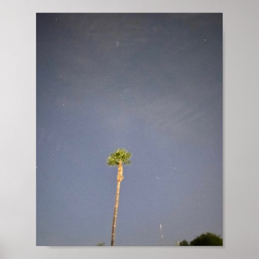 Poster Palmier et Étoiles ✨ (Devant)