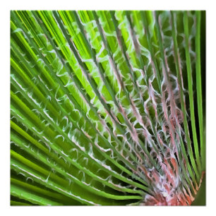 Poster Palmier Feuille tropicale Peinture artistique