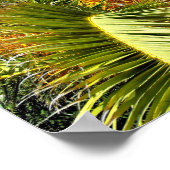 Poster Palmier feuilles et fleurs (Coin)