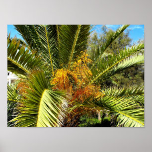 Poster Palmier feuilles et fleurs