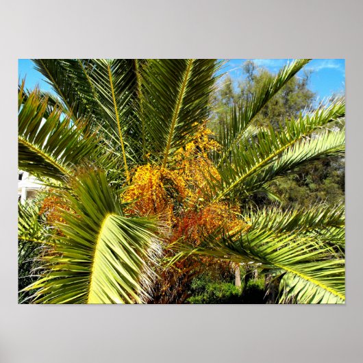 Poster Palmier feuilles et fleurs (Devant)